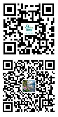 QR ကုဒ်